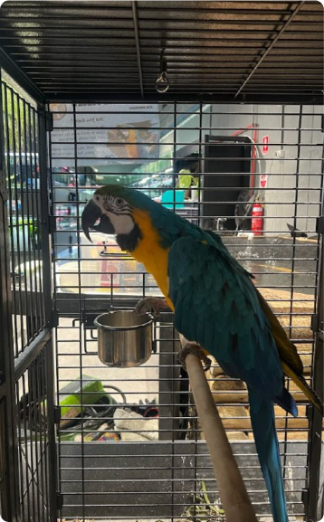 Home - Amazonia Aquarium