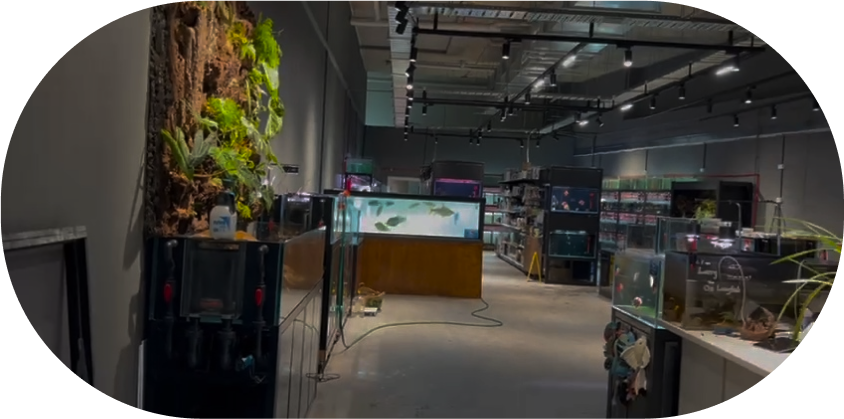 Contact Us - Amazonia Aquarium