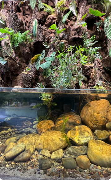 Home - Amazonia Aquarium