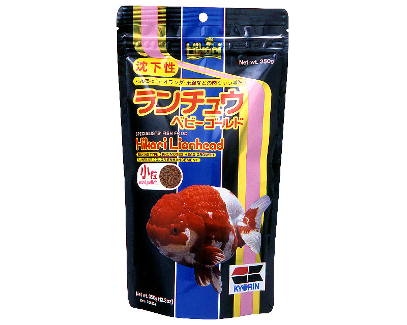 go_005_03 Hikari Lionhead Mini 350g - Image 1